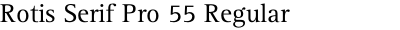 Rotis Serif Pro 55 Regular
